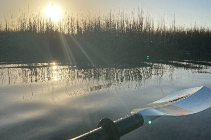 A frozen lake with sunlight reflecting off the surface, surrounded by tall grasses. 4