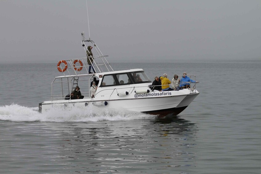 A white boat with people on board, moving through calm water. 2