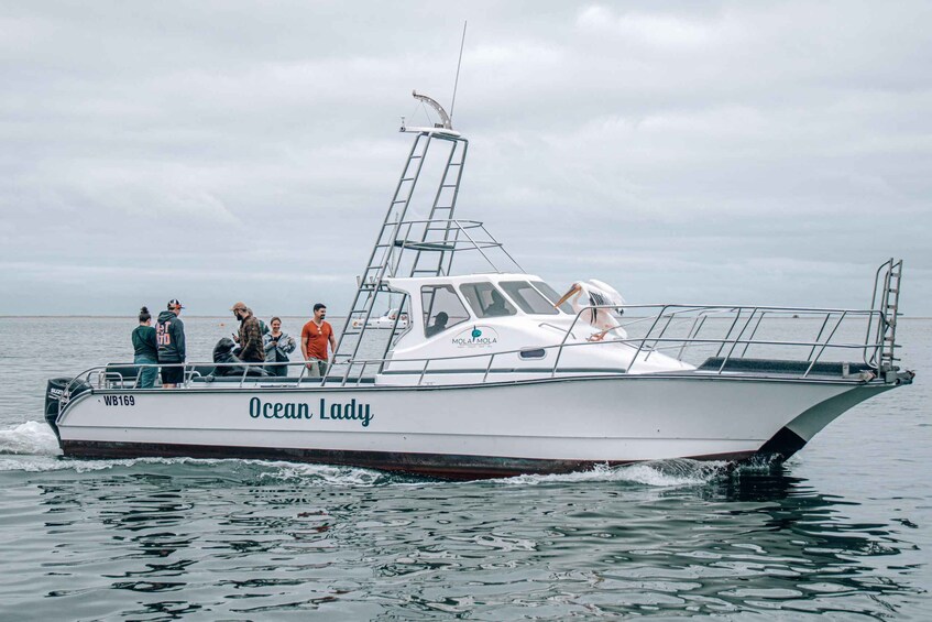 A white boat named 'Ocean Lady' with the number WB169 on the bow, moving through calm waters. 1