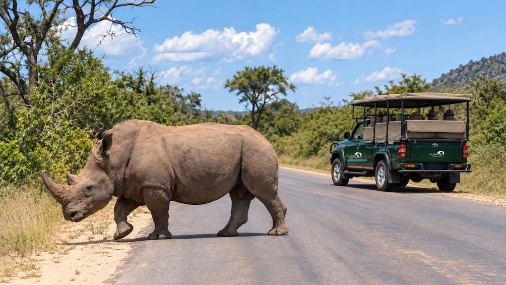 A rhinoceros crossing a road with a safari vehicle in the background. 1