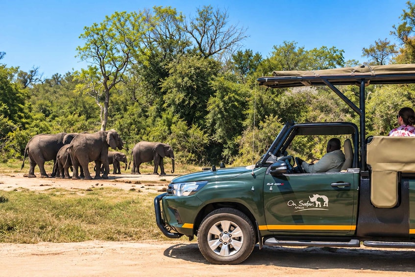 A safari vehicle with a group of elephants in the background. 2