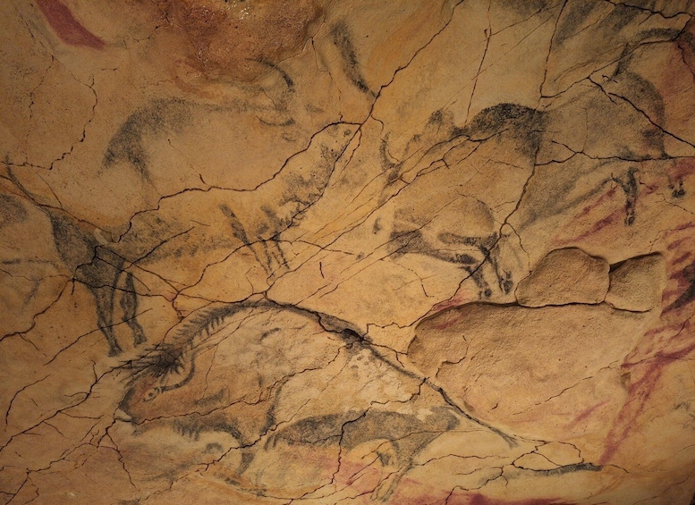 A cave wall with prehistoric animal drawings. 3