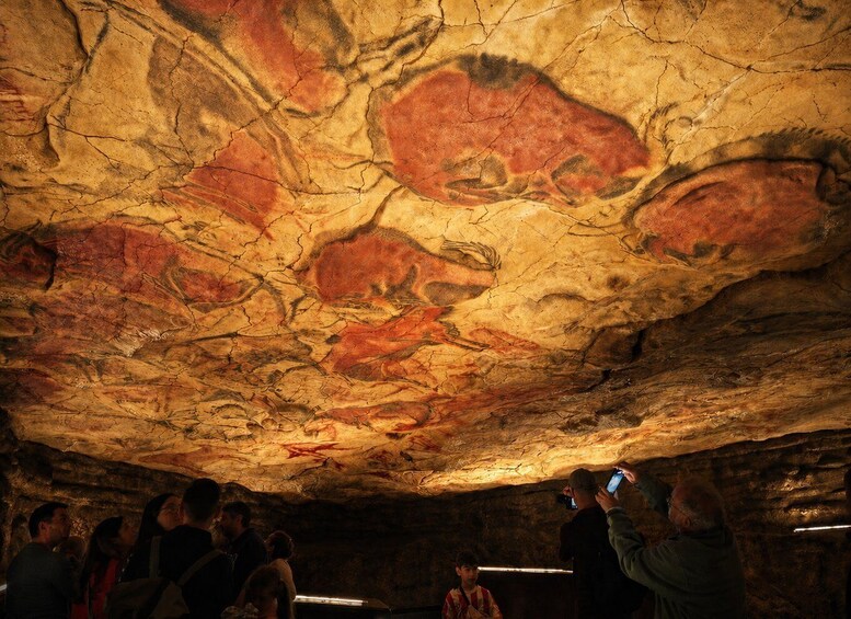 A cave with prehistoric cave paintings on the ceiling. 1