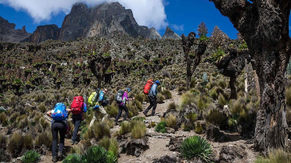 Hikers on a rocky trail with sparse vegetation and a mountain range in the background. 1