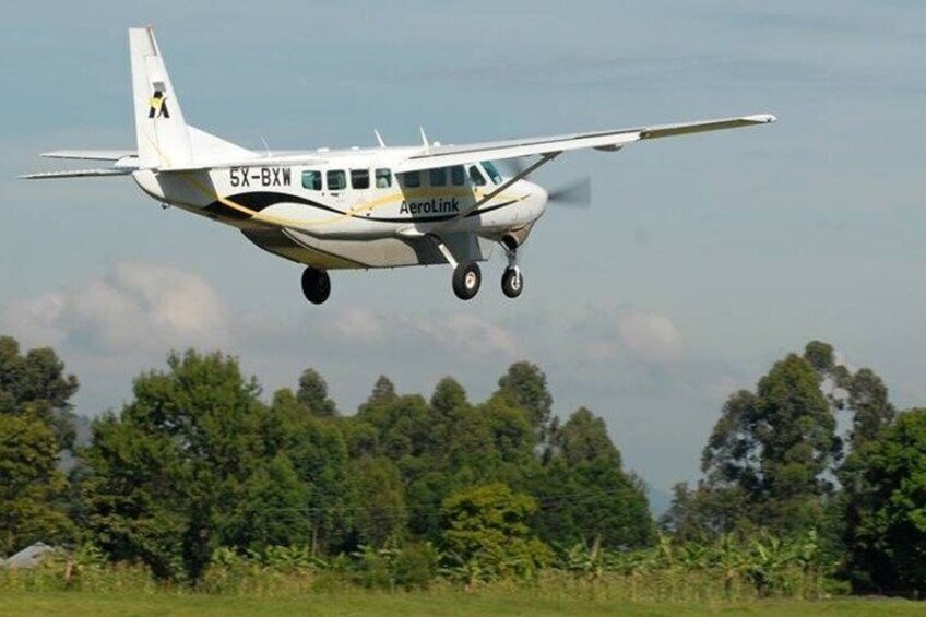 1 Day Air Tour in Sekenani Masai Mara National Reserve 4