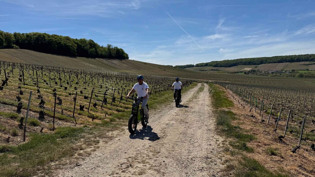 Two people riding bicycles on a gravel path through a vineyard. 2