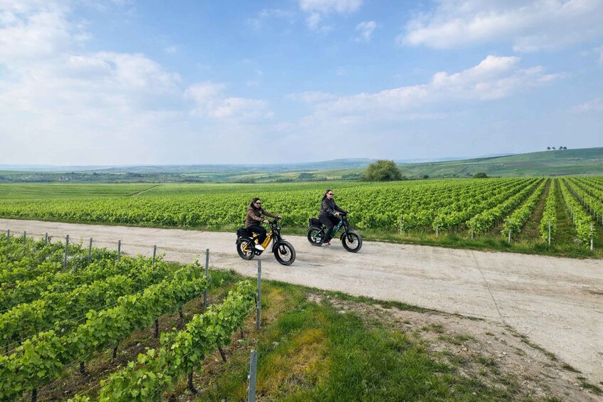 Two cyclists on a dirt road through a vineyard. 1