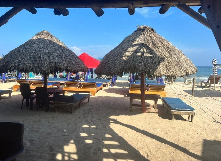 A beach with thatched umbrellas and wooden lounge chairs. 1
