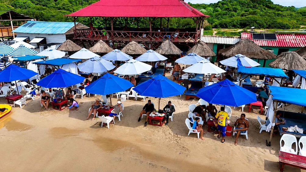 A beach with numerous umbrellas and people relaxing. 5