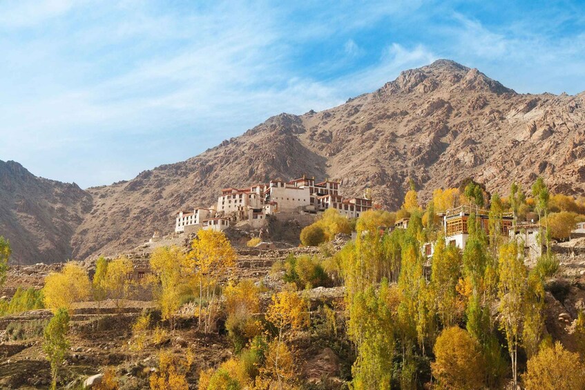 Picture 12 for Activity Leh: 4-Day Tour to Leh Ladakh Pangong Lake and Monasteries 4