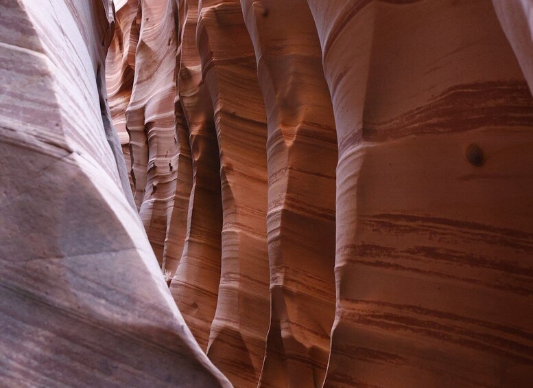 A close-up of layered rock formations with striations. 5