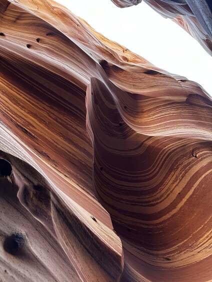 A close-up of a rock formation with striations and holes. 3