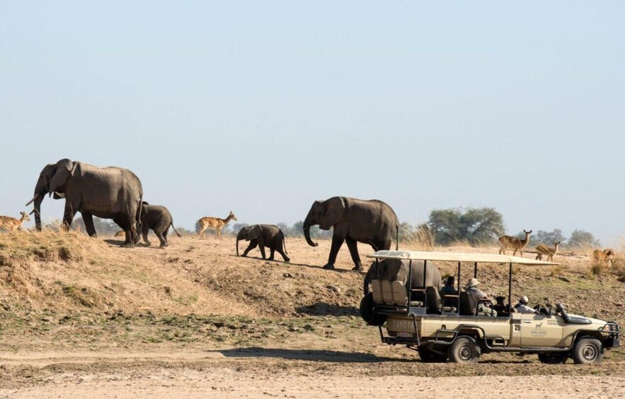 A safari vehicle on a dirt road with elephants and antelopes in the background. 5