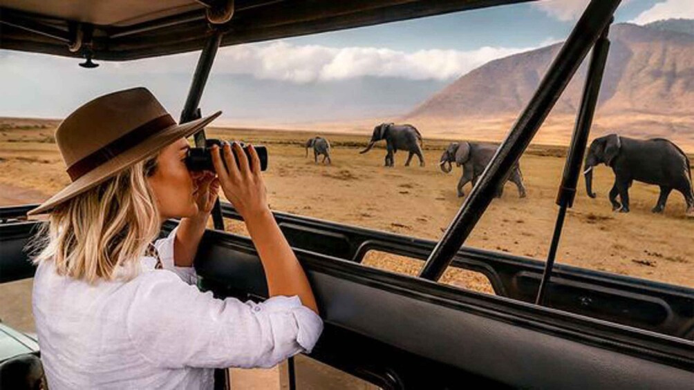 A person taking a photo of elephants in a desert landscape. 1