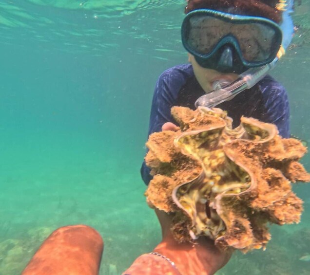 A person underwater holding a large, orange coral. 3