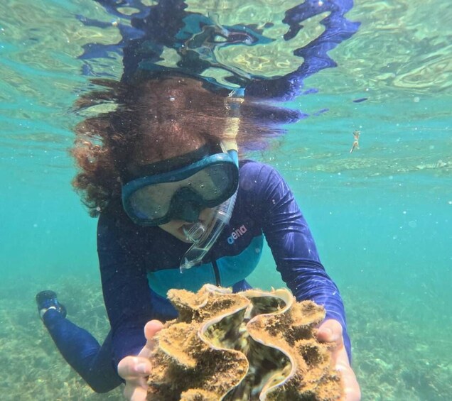 A diver holding a sea anemone. 4