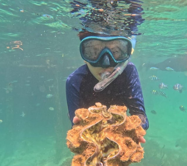 A person underwater holding a coral. 2