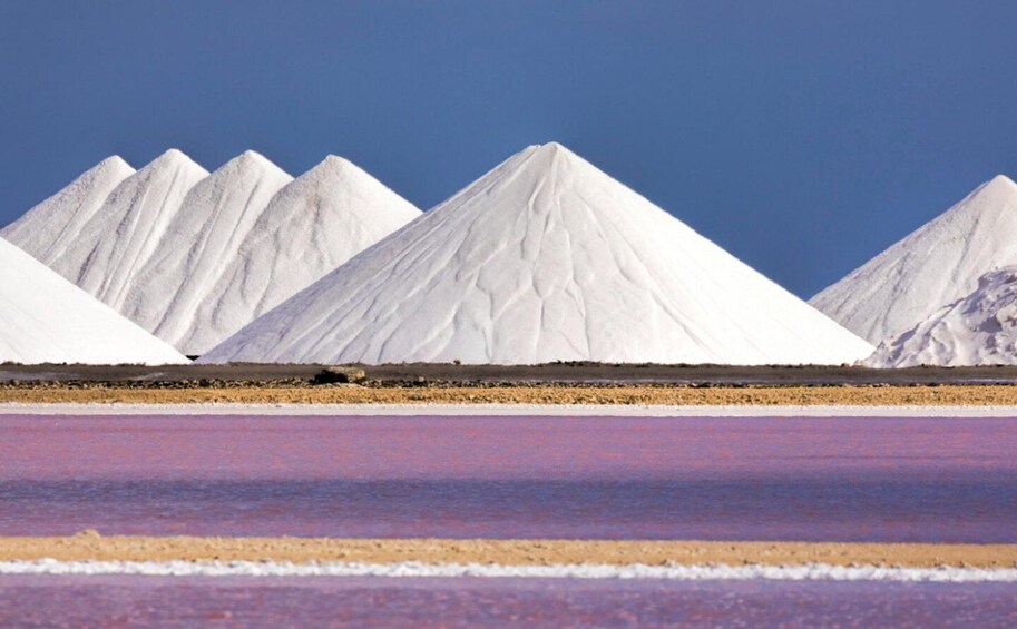 Saltørken med hvide saltformationer og en forgrund i lilla tone. 1