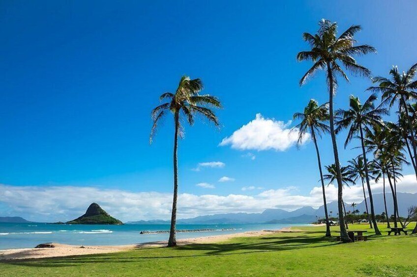Oahu Full-Day Island Tour and Rock-A-Hula Waikiki Show Package 5