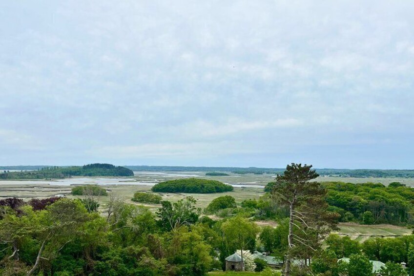 A coastal landscape with dense greenery, a small building, and a distant island. 2