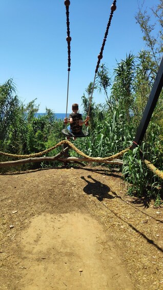 A person on a swing in a garden with corn plants and a dirt path. 3