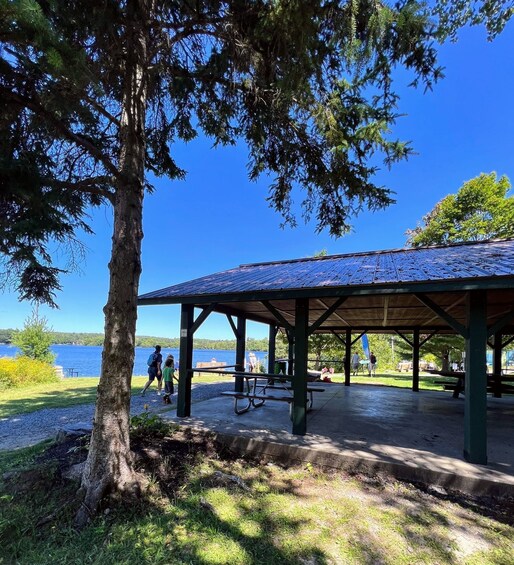 A lakeside picnic area with a covered pavilion, picnic tables, and a tree. 4