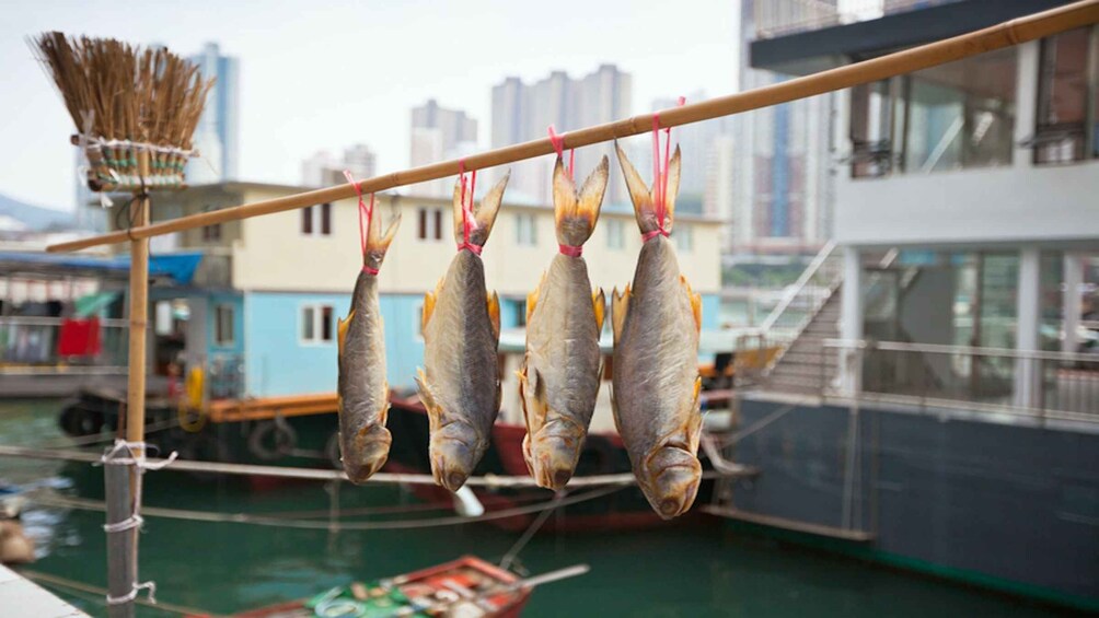 Dried fish hanging on a line, a boat, and a cityscape in the background. 5