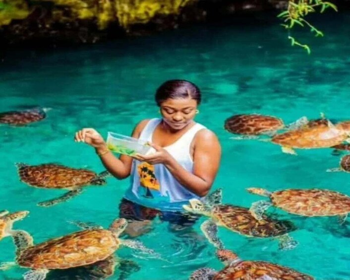 A person in clear water surrounded by sea turtles. 4