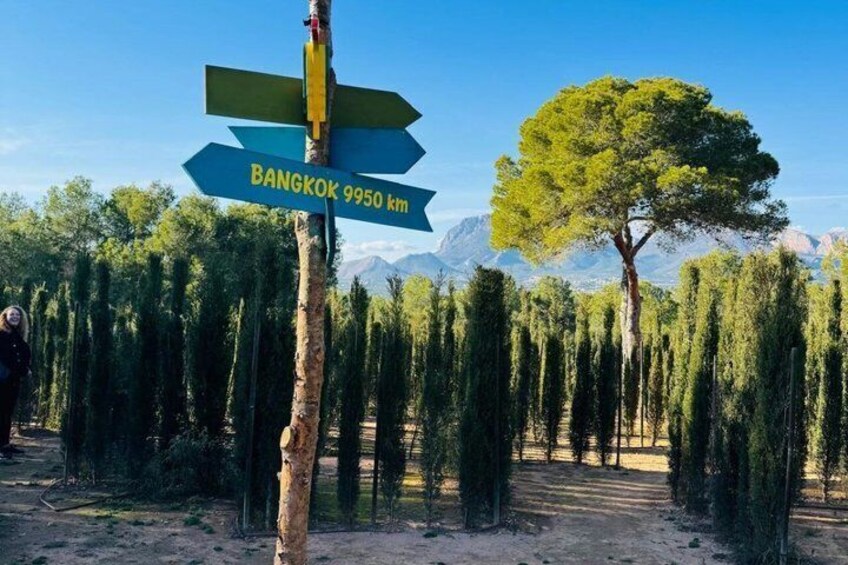 A directional signpost with 'Bangkok 9950 km' and a tree-lined path. 4
