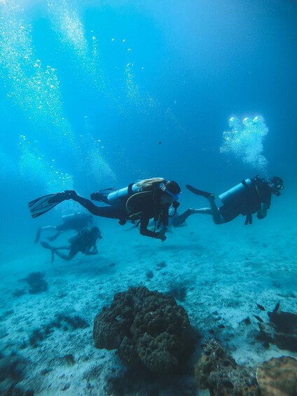 Three scuba divers swimming underwater with coral formations and marine life in the background. 5