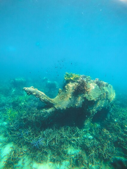 An underwater wreck surrounded by marine life. 2