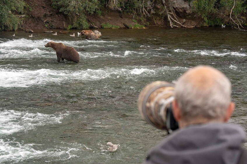 A bear standing in a river with a person in the foreground. 5