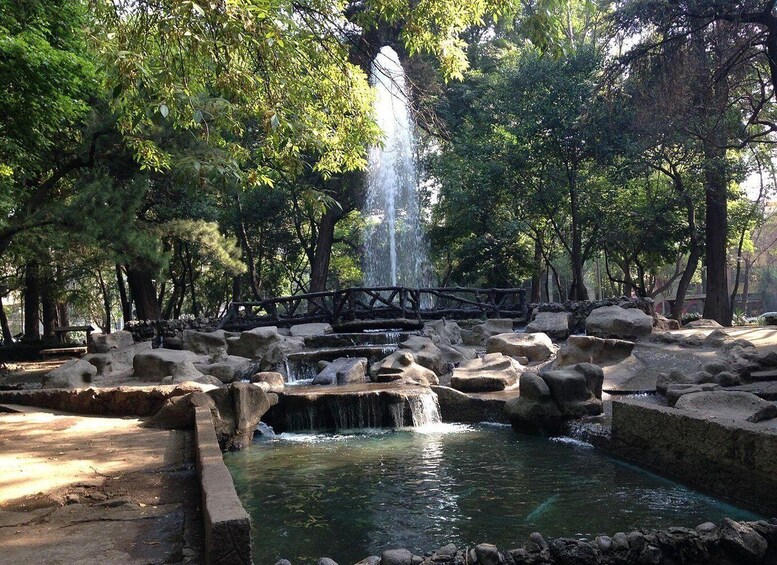 Picture 1 for Activity Spanish Survival Experience: Mexico City 5