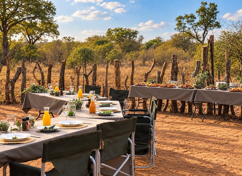Picture 5 for Activity Marloth Park: Bush Braai Dinner & Game Drive in Kruger Park 4