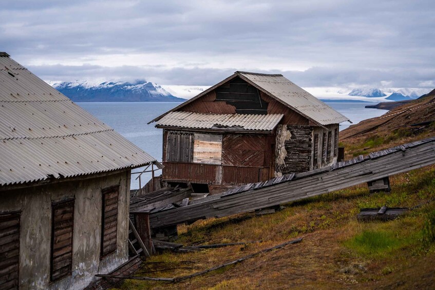 A dilapidated wooden structure with a metal roof, surrounded by a grassy landscape and mountains in the background. 3