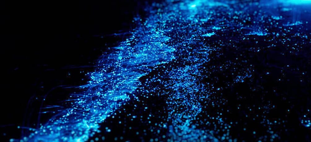 A close-up of a blue light display with a network of lines and dots. 1