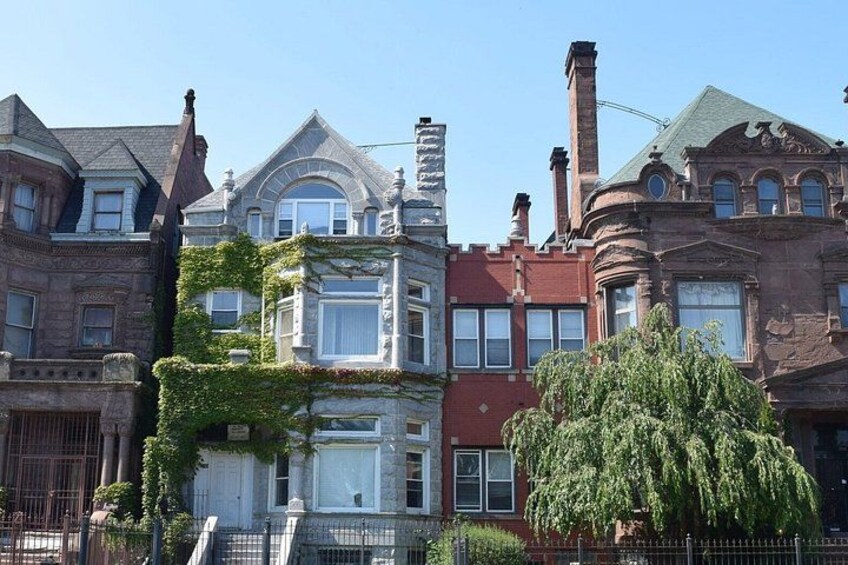 A row of Victorian-style houses with ornate facades and a large tree in the foreground. 4