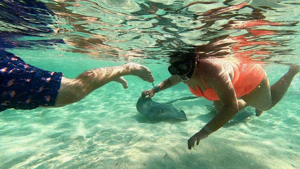 Two people underwater, one wearing a blue patterned swimsuit and the other in an orange swimsuit, reaching towards each other. 5