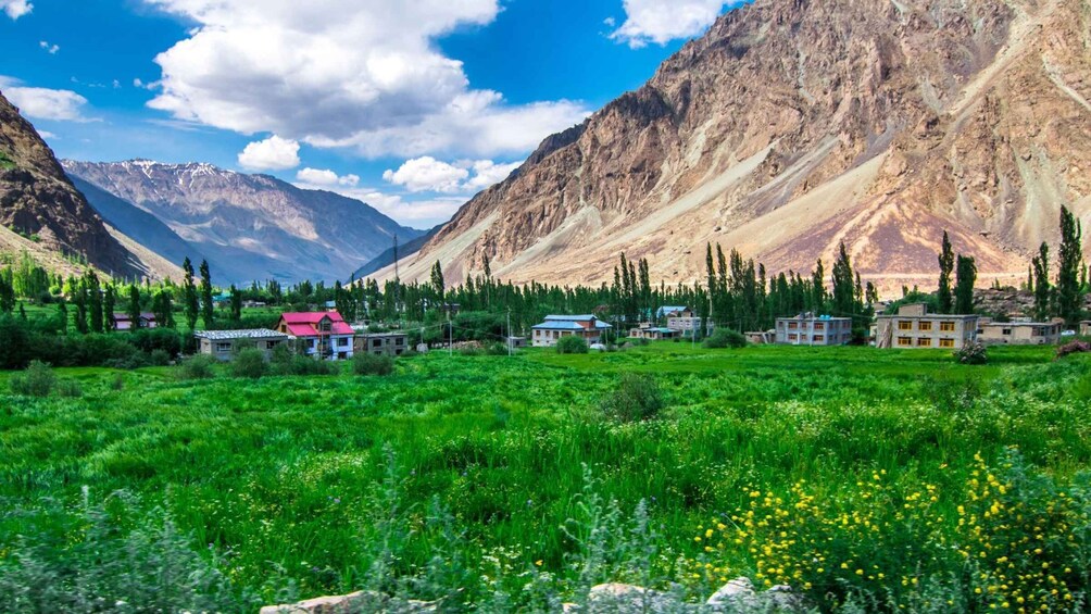 Picture 4 for Activity Leh: Alchi, Likir, Moonland-Lamayuru Monasteries Tour ⭐⭐⭐⭐⭐ 3