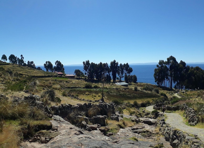 A coastal landscape with a clear sky, rocky terrain, and scattered trees. 3