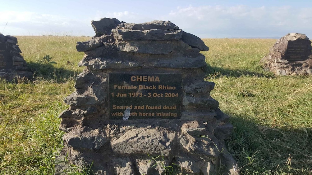 A memorial stone for a female black rhino named CHEMA, with a date range from 1 Jan 1973 to 3 Oct 2004, and a note that she was snared and found dead with both horns missing. 1