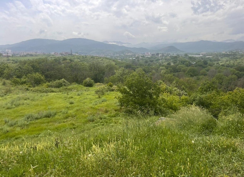 A grassy landscape with trees and distant mountains under a cloudy sky. 2