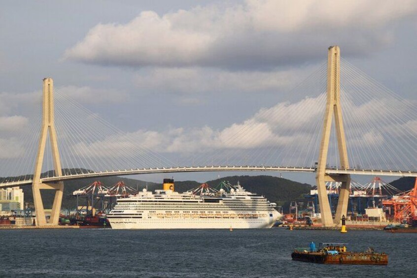 A cruise ship docked at a port with a large suspension bridge in the background. 4