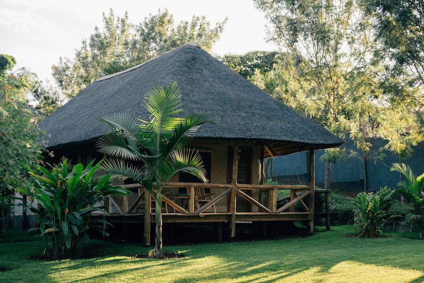 A thatched-roof hut with a wooden deck, surrounded by lush greenery and trees. 3
