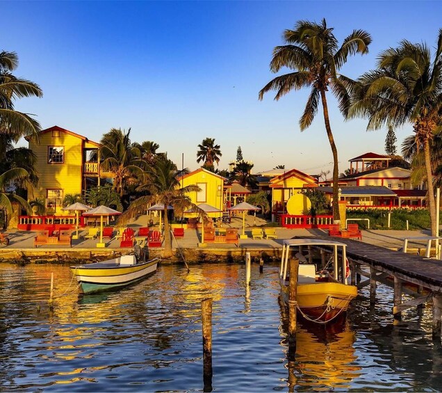 A waterfront area with yellow buildings, palm trees, and boats docked at the pier. 5
