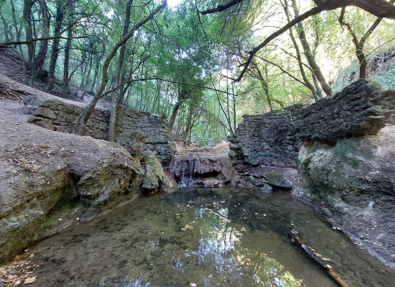 A forested area with a small waterfall and a stone wall. 1