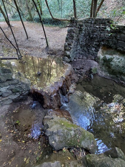 A small stream flowing over rocks with a stone wall in the background. 5