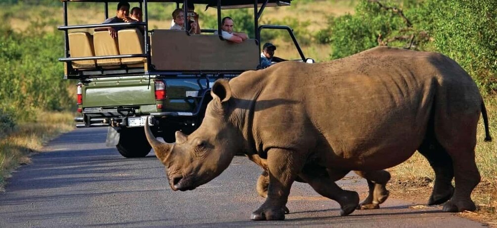 A rhinoceros walking on a road with a safari vehicle in the background. 5
