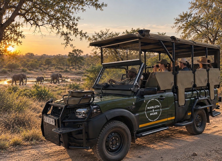 A safari vehicle with passengers observing wildlife, including elephants, during sunset. 1