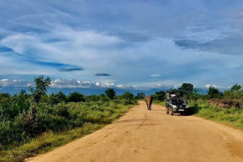 Un chemin de terre, avec un camion et un éléphant visibles au loin. 5